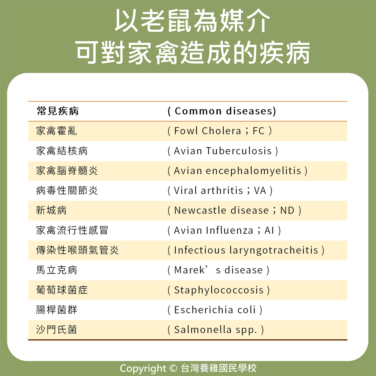 雞隻|189. 以老鼠為媒介可對家禽造成的疾病 | 優雞可尋