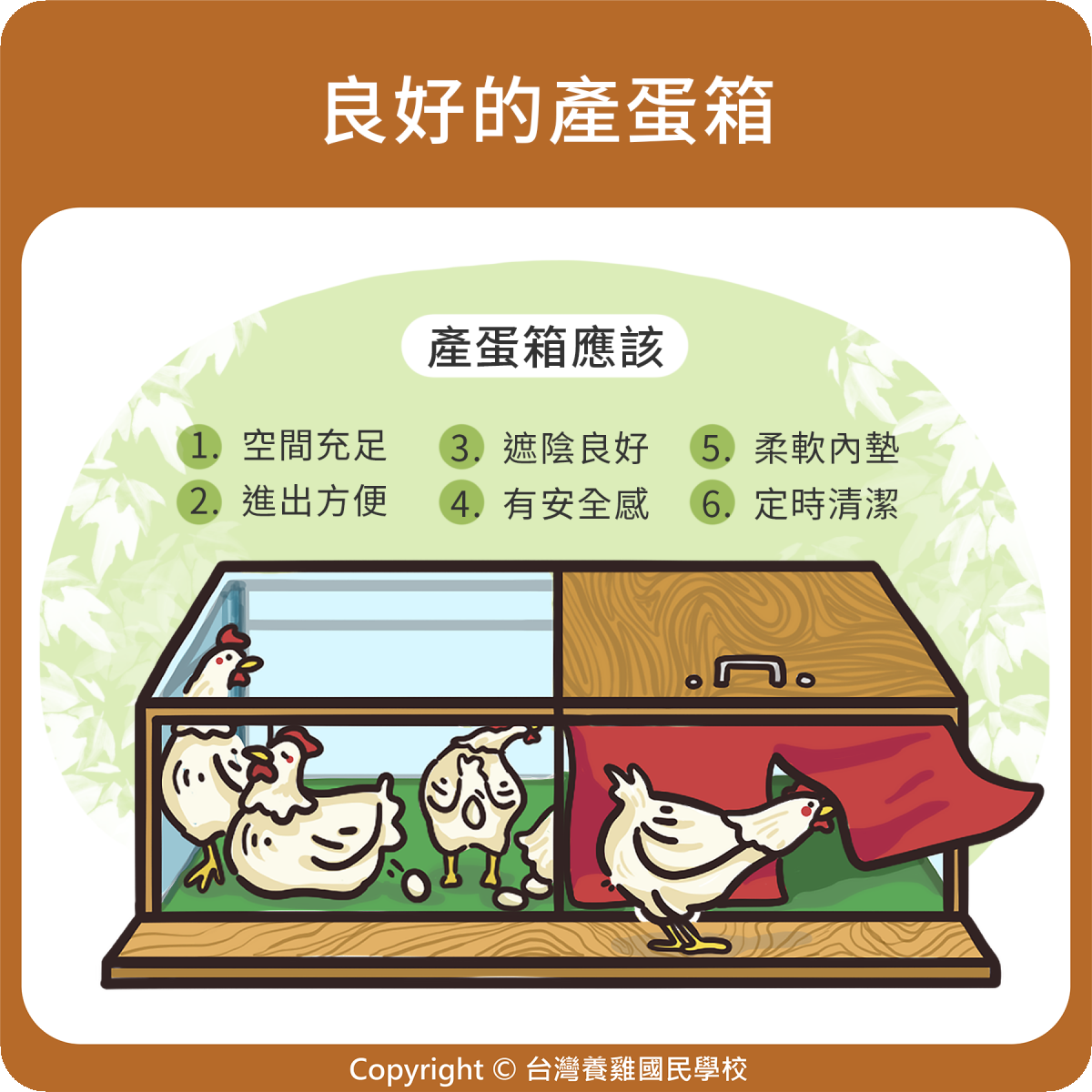 良好的產蛋箱