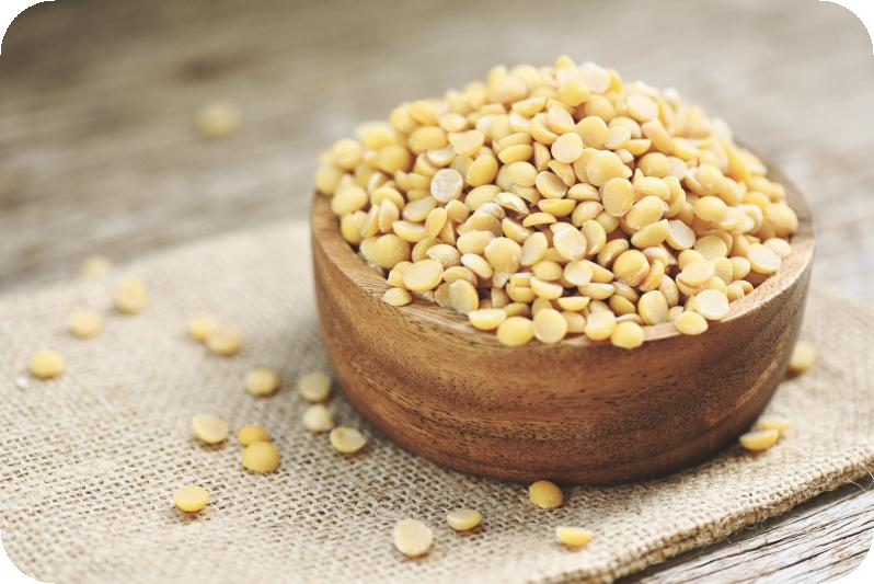 國際原物料現況影響飼料營養策略