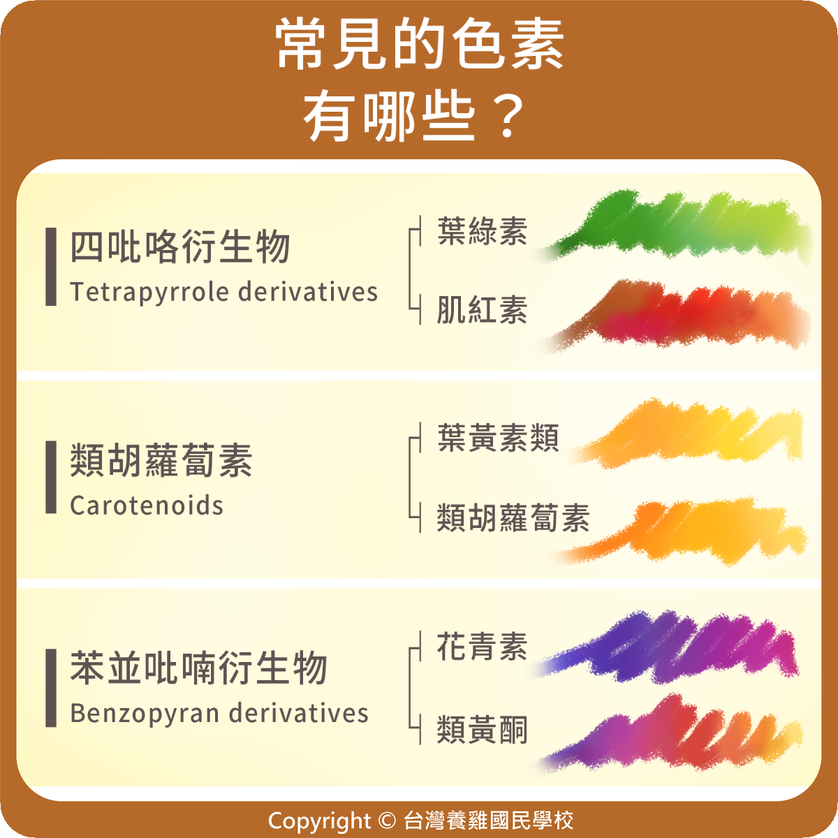 常見的色素有哪些