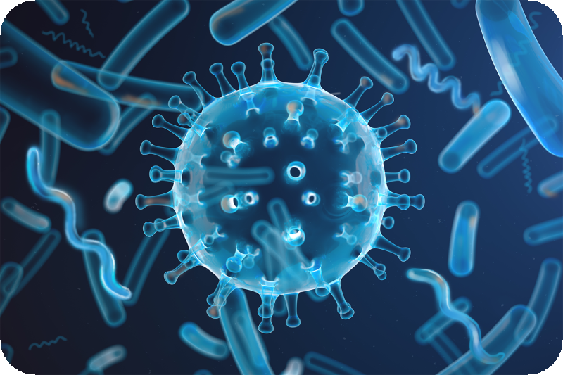 蛋雞常見的疾病