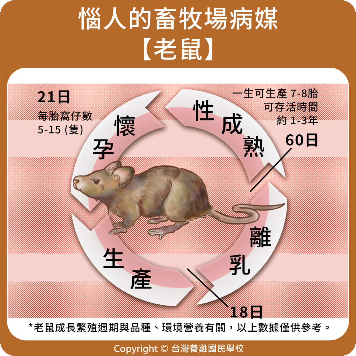 雞隻｜202. 新城雞瘟的症狀 | 優雞可尋