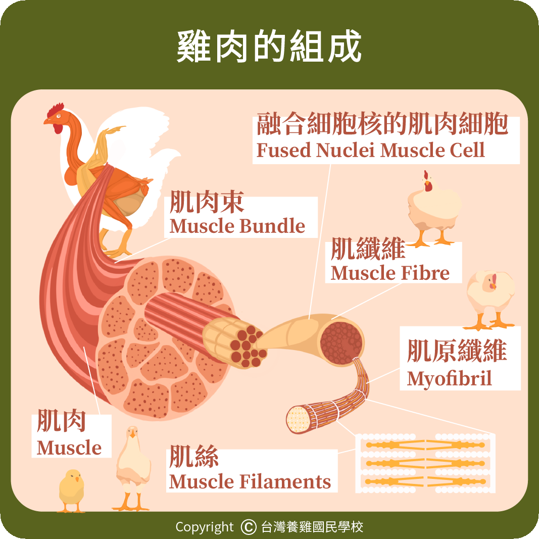 poultry