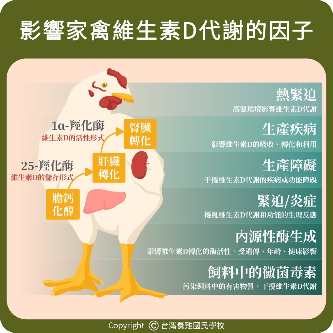 poultry