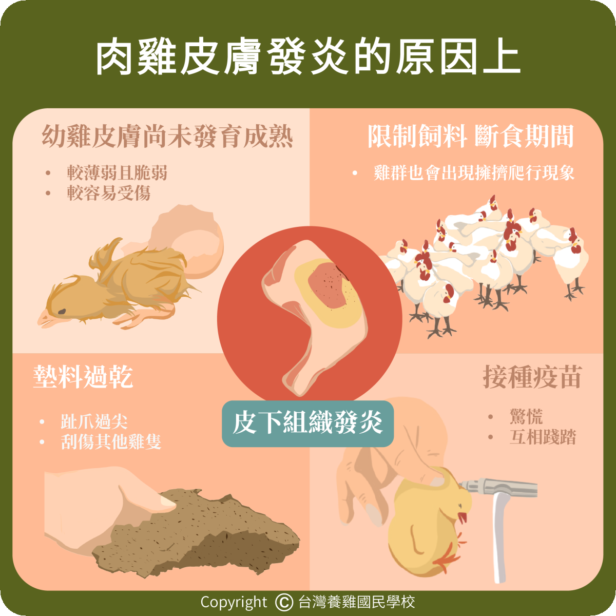 poultry