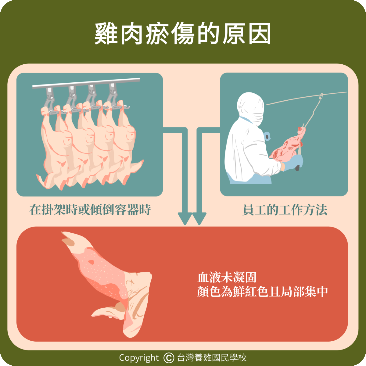 poultry